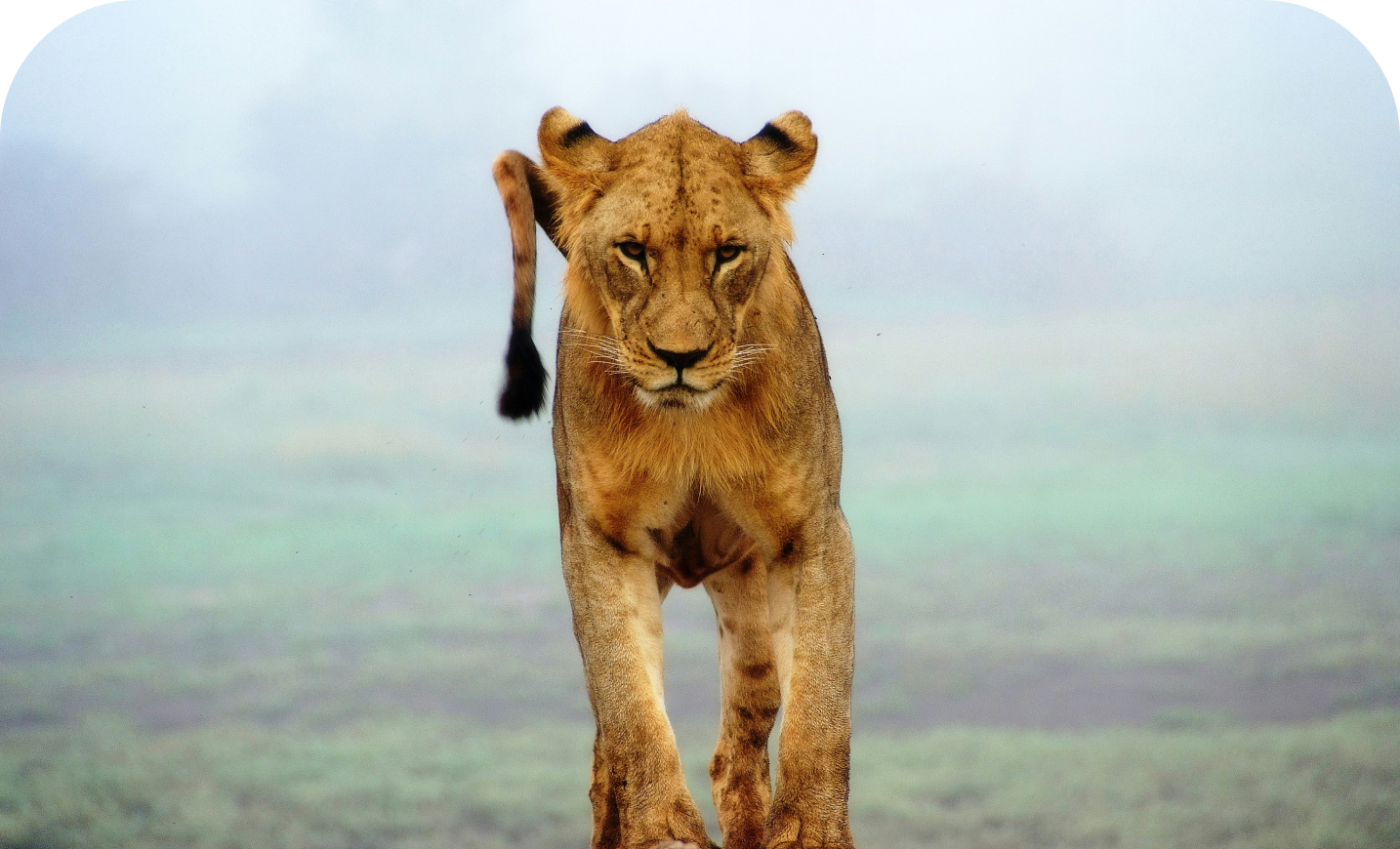 Unveiling the Hottest Travel Destinations of the Year